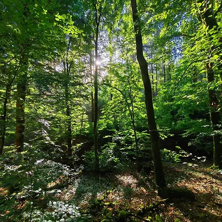 Zum Burgfried Von Unterkunft4you Holiday home *