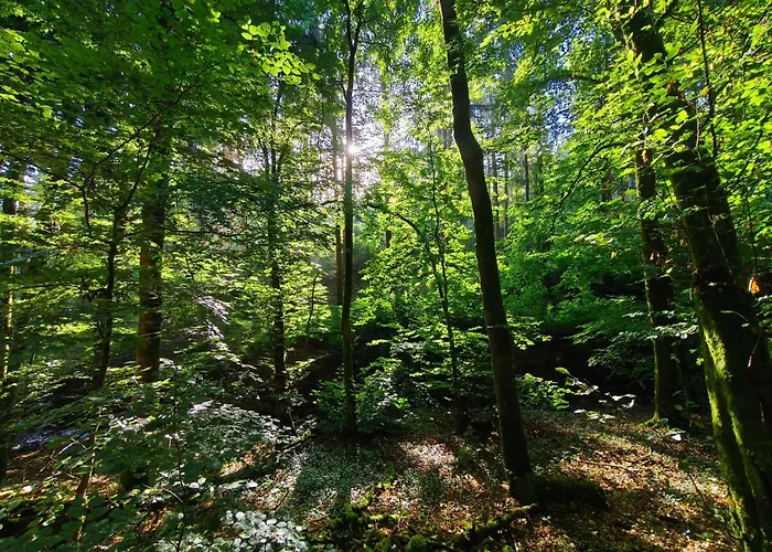 Zum Burgfried Hébergement de vacances *